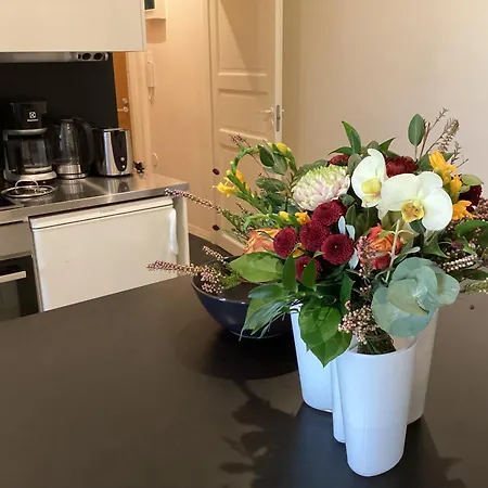 Apartmán Scandinavian Desing 1br Center In Kamppi 37 Helsinky